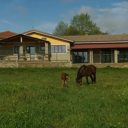 Farm stay L.b.stud Bracciano (Rome)