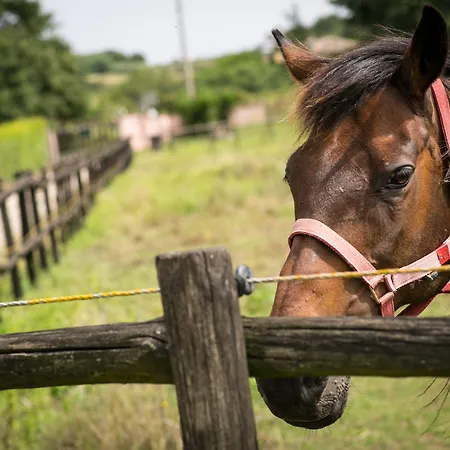 Vakantieboerderij L.b.stud *